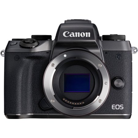 Canon EOS M5 vs 80D